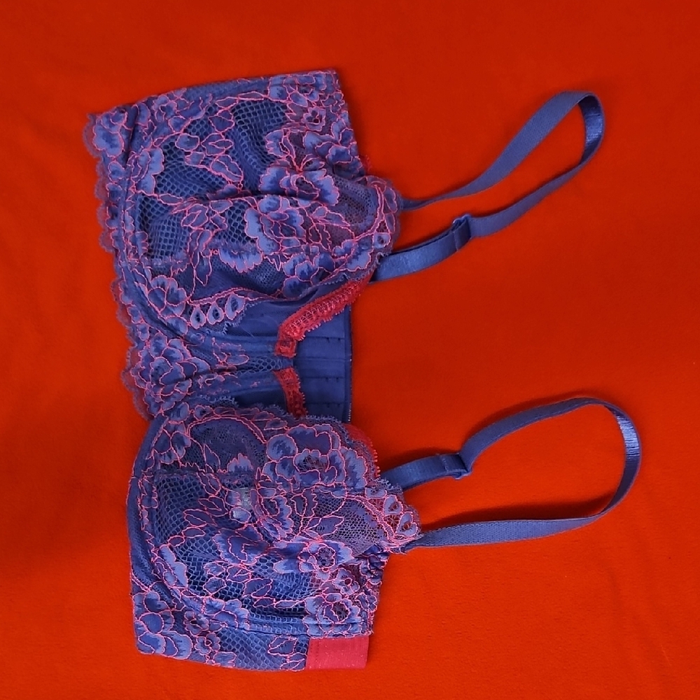 Elegant Floral Lace Bra Blue and Pink